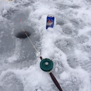 Meet your Posher, Sean